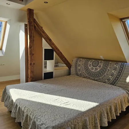 Stylish Floor With Garden View