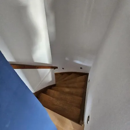 Stylish Floor With Garden View