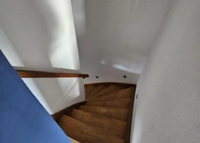 Stylish Floor With Garden View